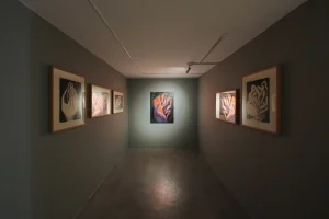 Installation View of Brutality of Physics a solo exhibition of works by Milad Mousavi at Dastan's Basement.
